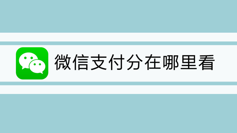 微信支付分在哪里看