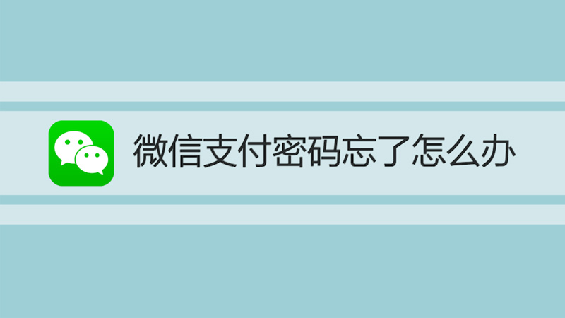 微信支付密码忘了怎么办