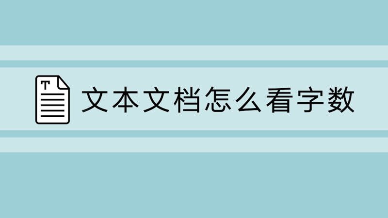 文本文档怎么看字数