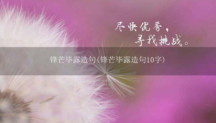 锋芒毕露造句(锋芒毕露造句10字)