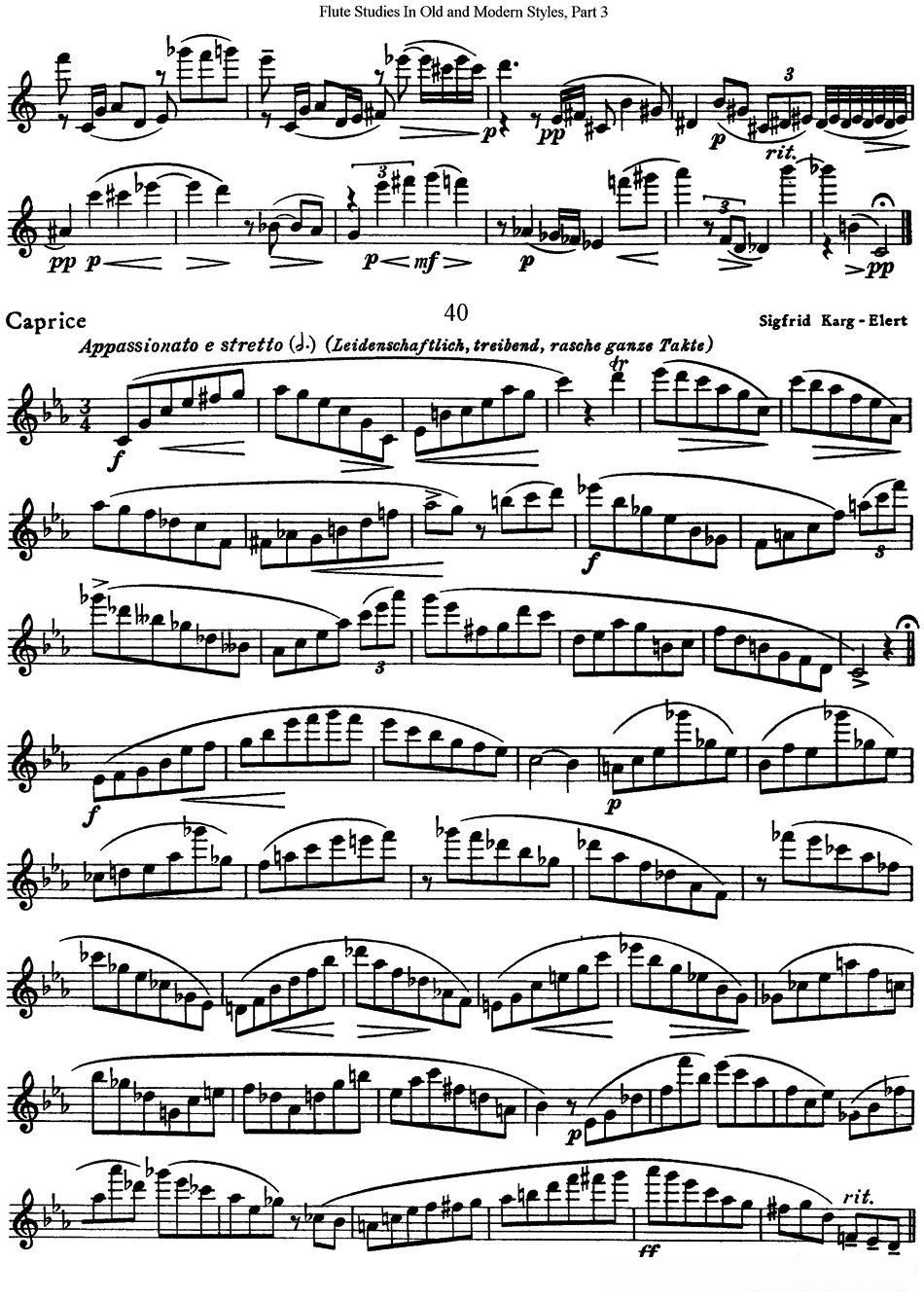 斯勒新老风格长笛练习重奏曲（第三部分）（NO.38-NO.40）